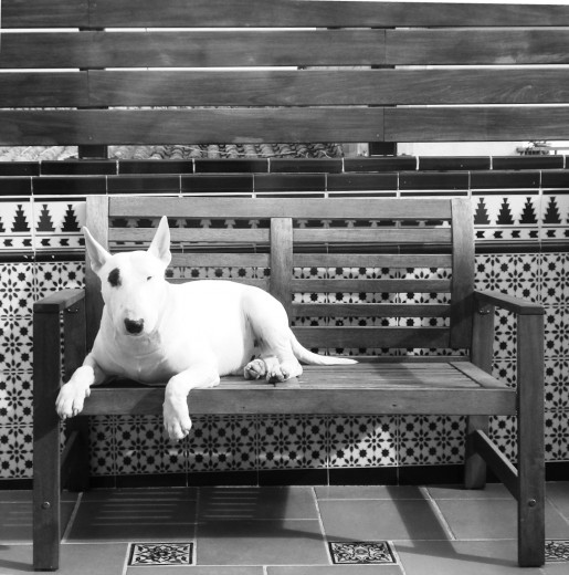 Le gusta estar en la terraza.